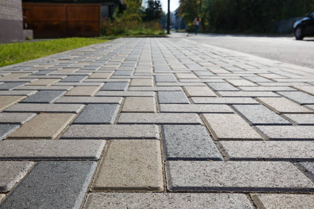 Best Residential Driveway Paver Services  in Rosita, TX