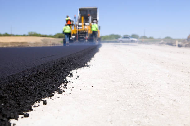Best Driveway Pavers Contractor  in Rosita, TX