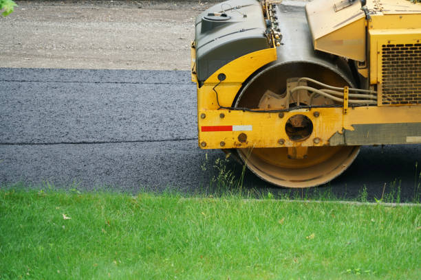 Best Local Driveway Pavers  in Rosita, TX