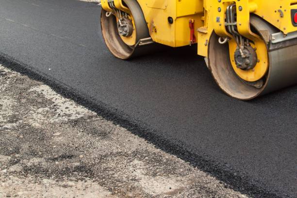 Best Local Driveway Pavers  in Rosita, TX