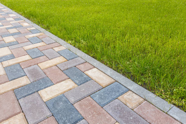 Best Driveway Pavers Near Me  in Rosita, TX